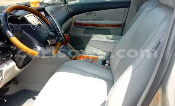 Buy Used Lexus RX 330 Silver Car in Cotonou in Benign Buy Used Lexus RX 330 Silver Car in Cotonou in Benign