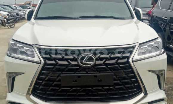 Acheter Import Voiture Lexus LX 570 Blanc à Cotonou, Benin