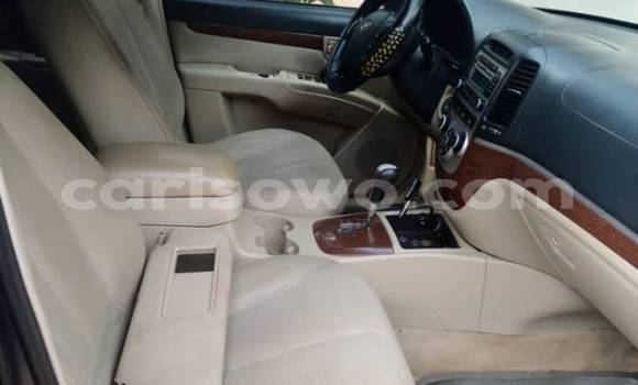 Sayi Na hannu Hyundai Santa Fe Blue Mota in Abomey Calavi a Benin Sayi Na hannu Hyundai Santa Fe Blue Mota in Abomey Calavi a Benin