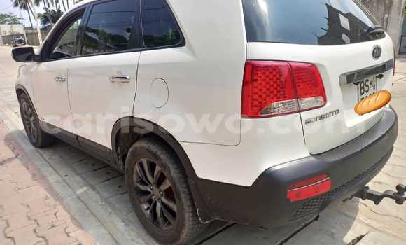 Buy Used Kia Sorento White Car in Cotonou in Benign