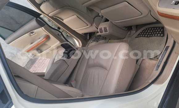 Buy Used Lexus RX 330 White Car in Abomey Calavi in Benign Buy Used Lexus RX 330 White Car in Abomey Calavi in Benign