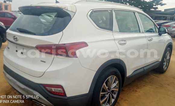 Acheter Neuf Voiture Hyundai Santa Fe Blanc à Cotonou, Benin Acheter Neuf Voiture Hyundai Santa Fe Blanc à Cotonou, Benin