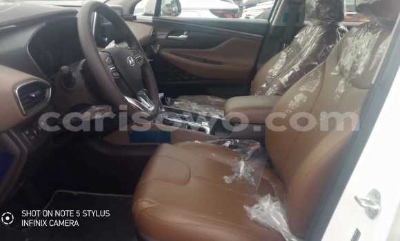 Acheter Neuf Voiture Hyundai Santa Fe Blanc à Cotonou, Benin Acheter Neuf Voiture Hyundai Santa Fe Blanc à Cotonou, Benin