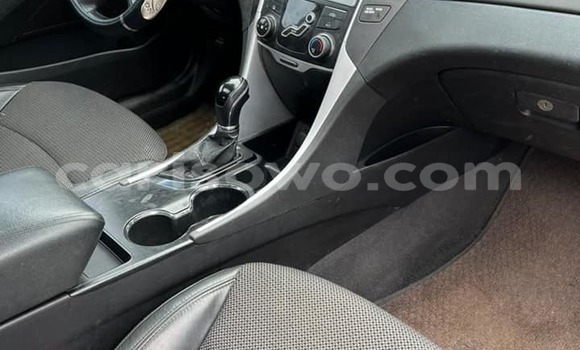 Sayi Na hannu Hyundai Sonata White Mota in Cotonou a Benin Sayi Na hannu Hyundai Sonata White Mota in Cotonou a Benin