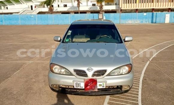 Buy Used Nissan Primera Silver Car in Cotonou in Benign Buy Used Nissan Primera Silver Car in Cotonou in Benign