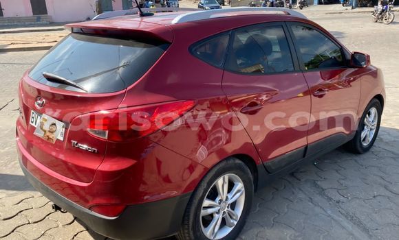 Buy Used Hyundai Tucson Red Car in Cotonou in Benign
