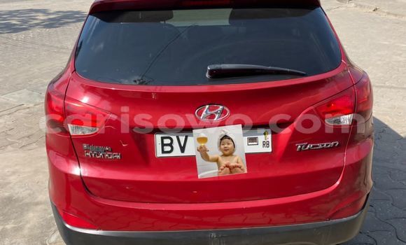 Buy Used Hyundai Tucson Red Car in Cotonou in Benign Buy Used Hyundai Tucson Red Car in Cotonou in Benign