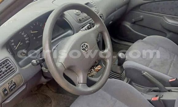 Buy Used Toyota Corolla Brown Car in Cotonou in Benign Buy Used Toyota Corolla Brown Car in Cotonou in Benign