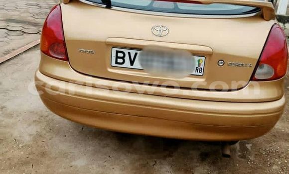 Buy Used Toyota Corolla Brown Car in Cotonou in Benign Buy Used Toyota Corolla Brown Car in Cotonou in Benign