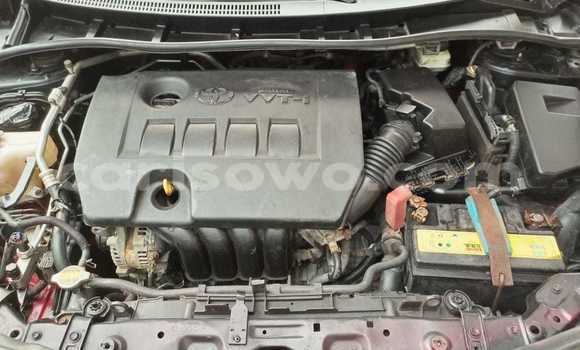 Ra Àlòkù Toyota Corolla Red Ọkọ̀ in Cotonou ni Benin Ra Àlòkù Toyota Corolla Red Ọkọ̀ in Cotonou ni Benin