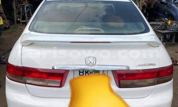 Sayi Na hannu Honda Accord White Mota in Cotonou a Benin Sayi Na hannu Honda Accord White Mota in Cotonou a Benin