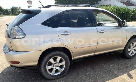 Acheter Occasion Voiture Lexus RX 330 Gris à Cotonou, Benin