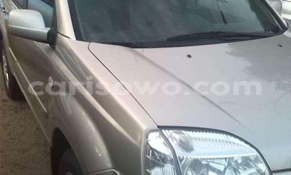Sayi Na hannu Nissan X–Trail Azurfa Mota in Cotonou a Benin