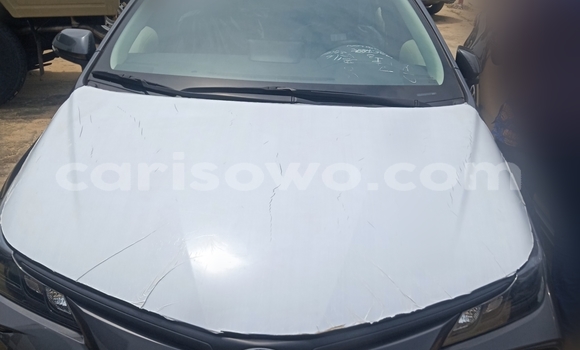 Buy New Toyota Corolla Silver Car in Cotonou in Benign