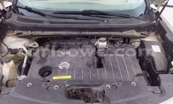 Buy Used Nissan Murano White Car in Cotonou in Benign Buy Used Nissan Murano White Car in Cotonou in Benign