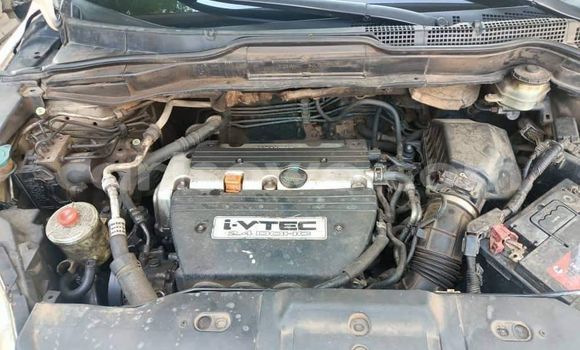 Sayi Na hannu Honda CR–V White Mota in Cotonou a Benin Sayi Na hannu Honda CR–V White Mota in Cotonou a Benin
