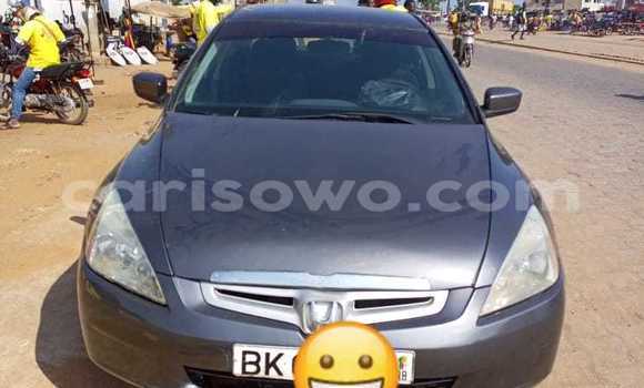 Ra Àlòkù Honda Accord Brown Ọkọ̀ in Cotonou ni Benin Ra Àlòkù Honda Accord Brown Ọkọ̀ in Cotonou ni Benin