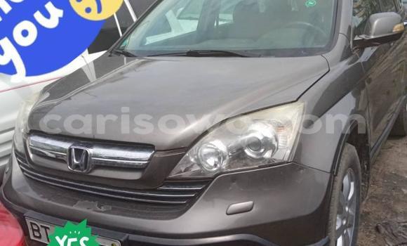 Buy Used Honda CR–V Brown Car in Abomey Calavi in Benign