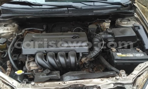 Ra Àlòkù Toyota Corolla Spacio Brown Ọkọ̀ in Cotonou ni Benin Ra Àlòkù Toyota Corolla Spacio Brown Ọkọ̀ in Cotonou ni Benin