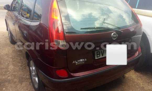 Buy Used Nissan Almera Tino Red Car in Cotonou in Benign