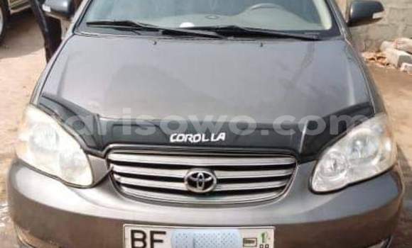 Ra Àlòkù Toyota Corolla Brown Ọkọ̀ in Cotonou ni Benin