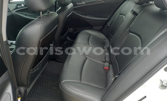 Sayi Na hannu Hyundai Sonata White Mota in Cotonou a Benin Sayi Na hannu Hyundai Sonata White Mota in Cotonou a Benin