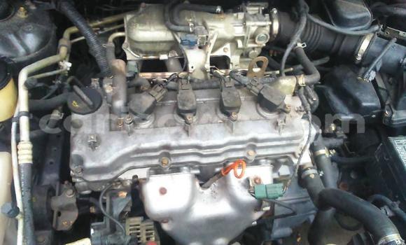 Ra Àlòkù Nissan Almera Tino Red Ọkọ̀ in Cotonou ni Benin Ra Àlòkù Nissan Almera Tino Red Ọkọ̀ in Cotonou ni Benin