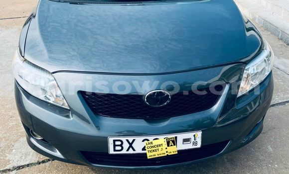 Ra Àlòkù Toyota Corolla Blue Ọkọ̀ in Cotonou ni Benin