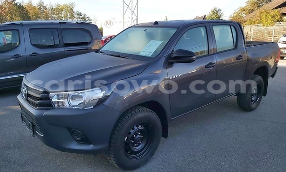 Acheter Import Voiture Toyota Hilux Gris à Natitingou, Benin Acheter Import Voiture Toyota Hilux Gris à Natitingou, Benin
