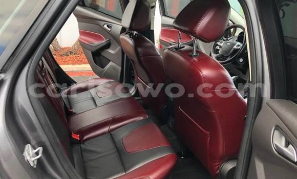 Acheter Import Voiture Ford Focus Gris à Kandi, Benin Acheter Import Voiture Ford Focus Gris à Kandi, Benin