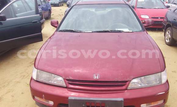 Acheter Occasion Voiture Honda Accord Rouge à Porto Novo au Benin Acheter Occasion Voiture Honda Accord Rouge à Porto Novo au Benin
