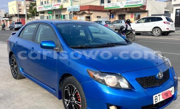 Buy Used Toyota Corolla Blue Car in Abomey Calavi in Benign