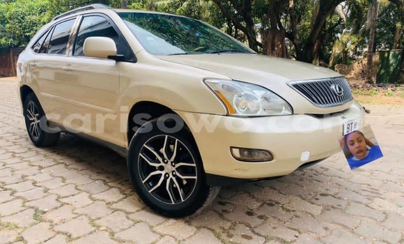 Acheter Occasion Voiture Lexus RX 330 Beige à Abomey Calavi, Benin Acheter Occasion Voiture Lexus RX 330 Beige à Abomey Calavi, Benin