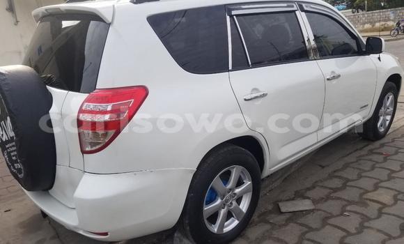 Buy Used Toyota RAV4 White Car in Abomey Calavi in Benign Buy Used Toyota RAV4 White Car in Abomey Calavi in Benign
