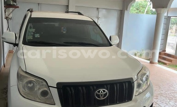 Acheter Occasion Voiture Toyota Land Cruiser Prado Blanc à Cotonou, Benin
