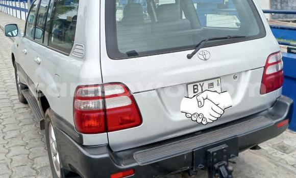Acheter Occasion Voiture Toyota Land Cruiser Gris à Cotonou, Benin