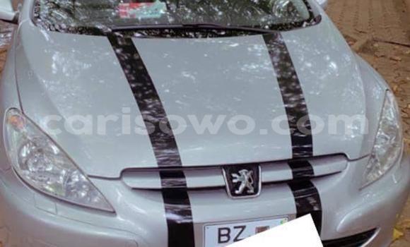 Sayi Na hannu Peugeot 307 Azurfa Mota in Porto Novo a Benin