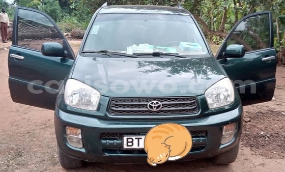 Acheter Occasion Voiture Toyota RAV4 Vert à Porto Novo, Benin