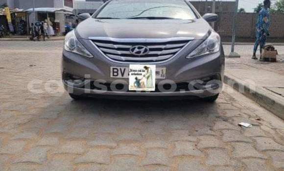 Acheter Occasion Voiture Hyundai Sonata Marron à Cotonou, Benin Acheter Occasion Voiture Hyundai Sonata Marron à Cotonou, Benin