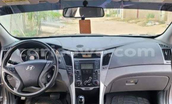 Acheter Occasion Voiture Hyundai Sonata Marron à Cotonou, Benin Acheter Occasion Voiture Hyundai Sonata Marron à Cotonou, Benin