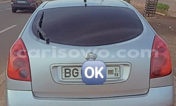 Acheter Occasion Voiture Nissan Primera Gris à Porto Novo, Benin Acheter Occasion Voiture Nissan Primera Gris à Porto Novo, Benin