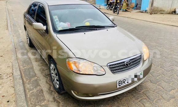 Buy Used Toyota Corolla Brown Car in Cotonou in Benign Buy Used Toyota Corolla Brown Car in Cotonou in Benign