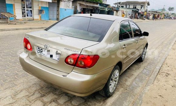 Buy Used Toyota Corolla Brown Car in Cotonou in Benign Buy Used Toyota Corolla Brown Car in Cotonou in Benign