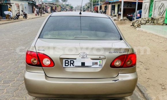 Buy Used Toyota Corolla Brown Car in Cotonou in Benign Buy Used Toyota Corolla Brown Car in Cotonou in Benign
